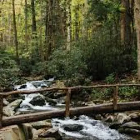 Honeymoon Getaway In Woods Near Noc And Smoky Mtn Rr Vila Bryson City Exterior foto