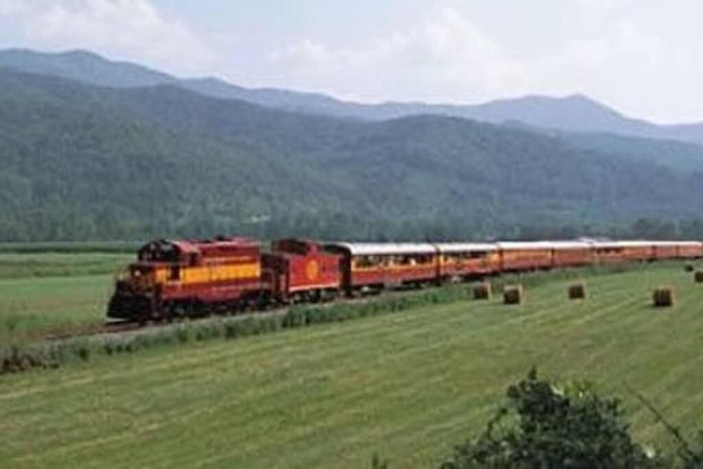 Honeymoon Getaway In Woods Near Noc And Smoky Mtn Rr *