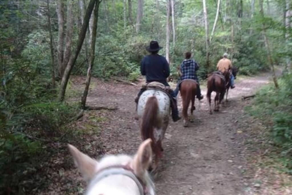 Honeymoon Getaway In Woods Near Noc And Smoky Mtn Rr Holiday home Bryson City