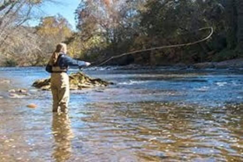 Honeymoon Getaway In Woods Near Noc And Smoky Mtn Rr Holiday home Bryson City
