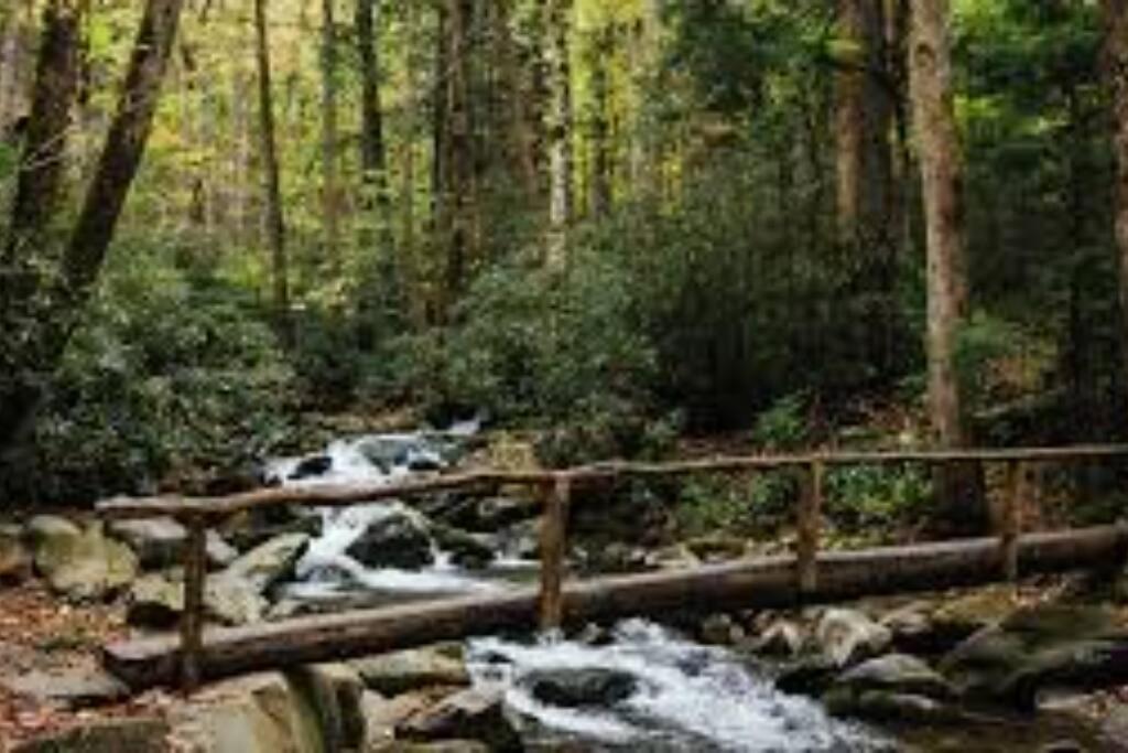 Honeymoon Getaway In Woods Near Noc And Smoky Mtn Rr Holiday home *
